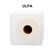 Express Vacuum ULPA Filter